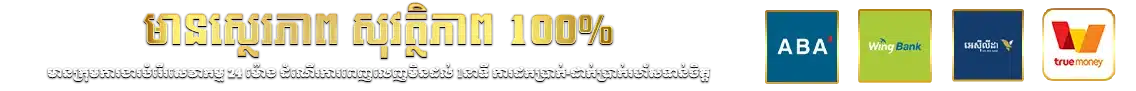 មានស្ថេរភាព សុវត្ថិភាព 100%